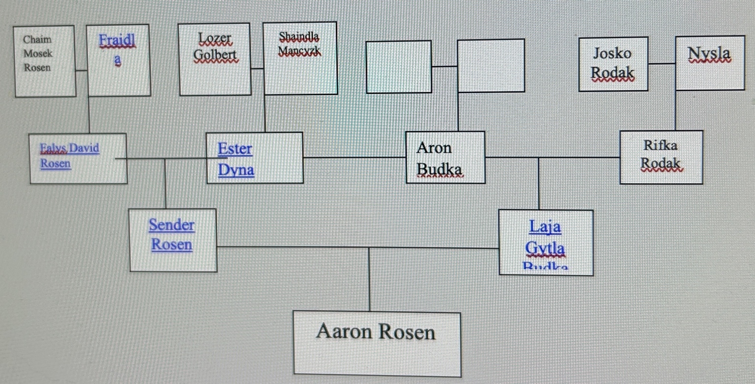 A computer screen shot of a family tree
Description automatically generated
