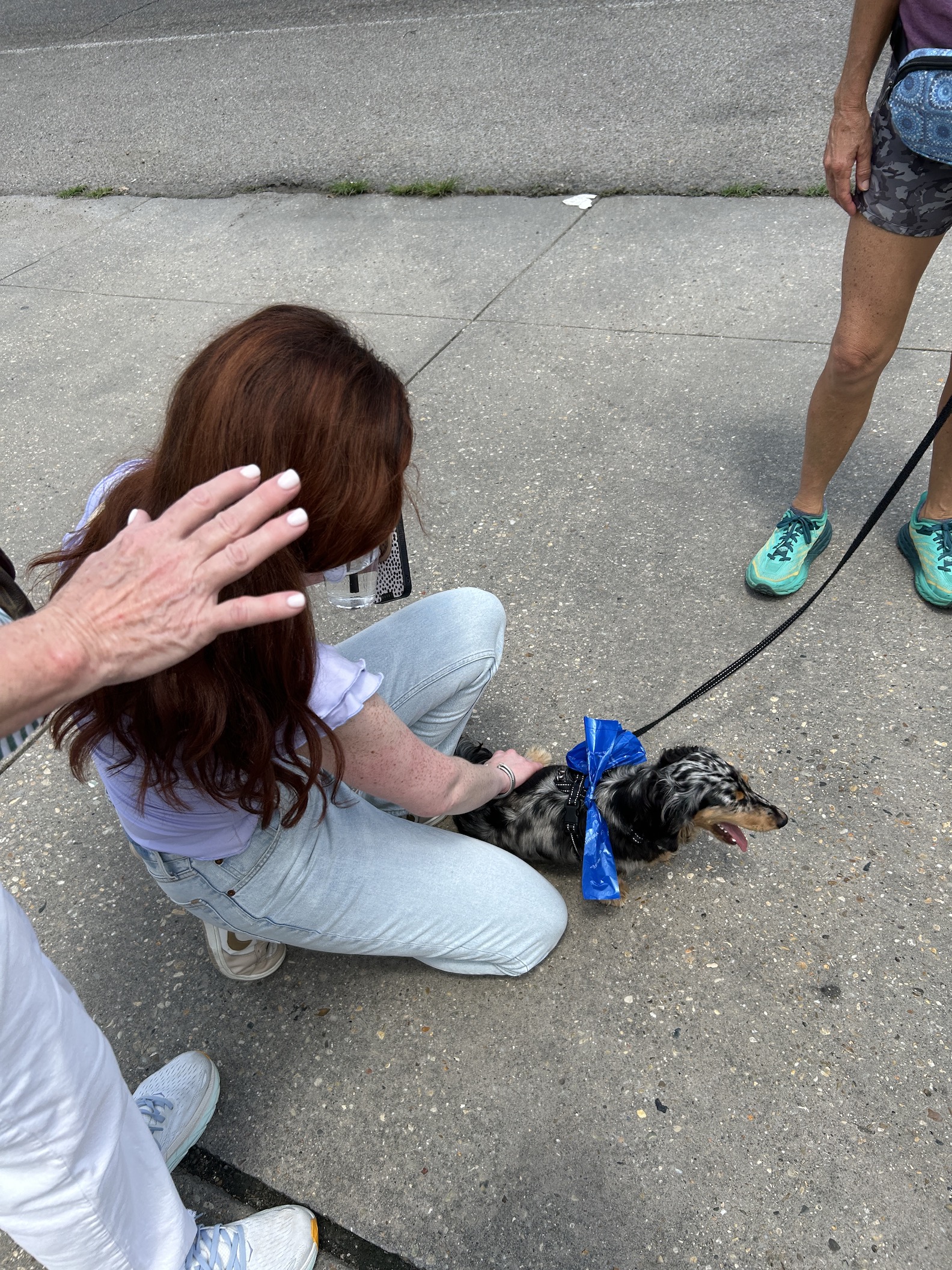 A person kneeling on the ground with a dog tied with a blue bow
Description automatically generated