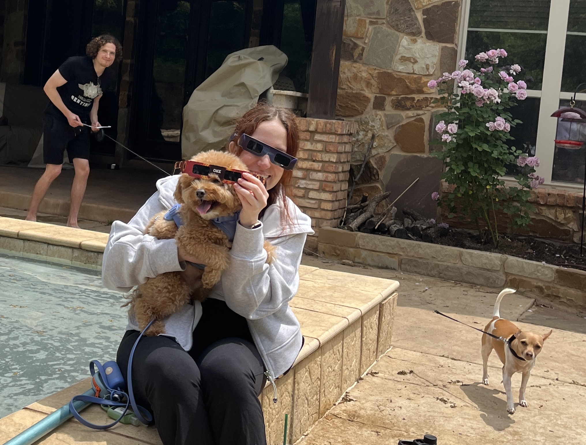 A person sitting on a ledge holding a dog
Description automatically generated